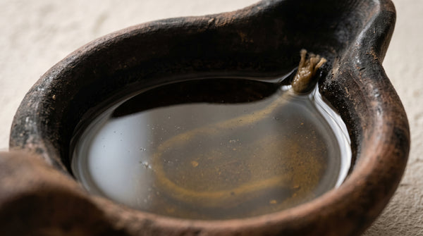Fuente — ACEITE