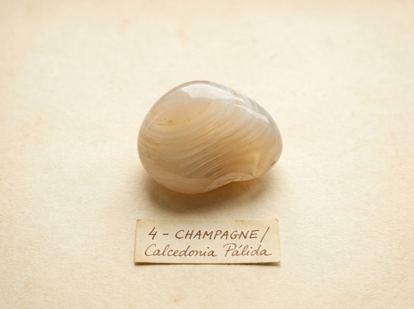 Fuente — CORDOVAN · CHAMPAGNE