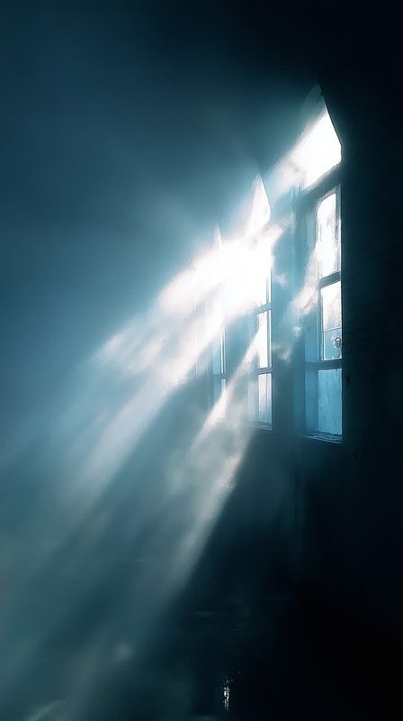Fuente — CREPÚSCULO